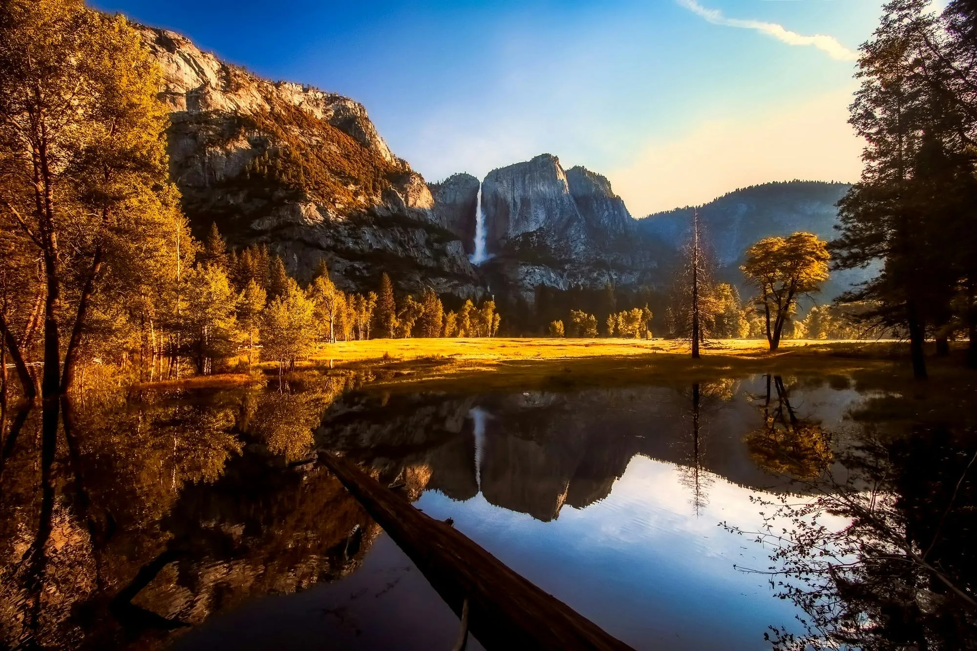  Pixabay on Pexels