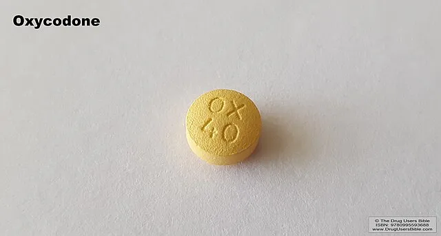 The Drug Users Bible on Wikimedia Commons