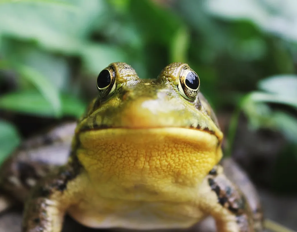 Jack Hamilton from Unsplash