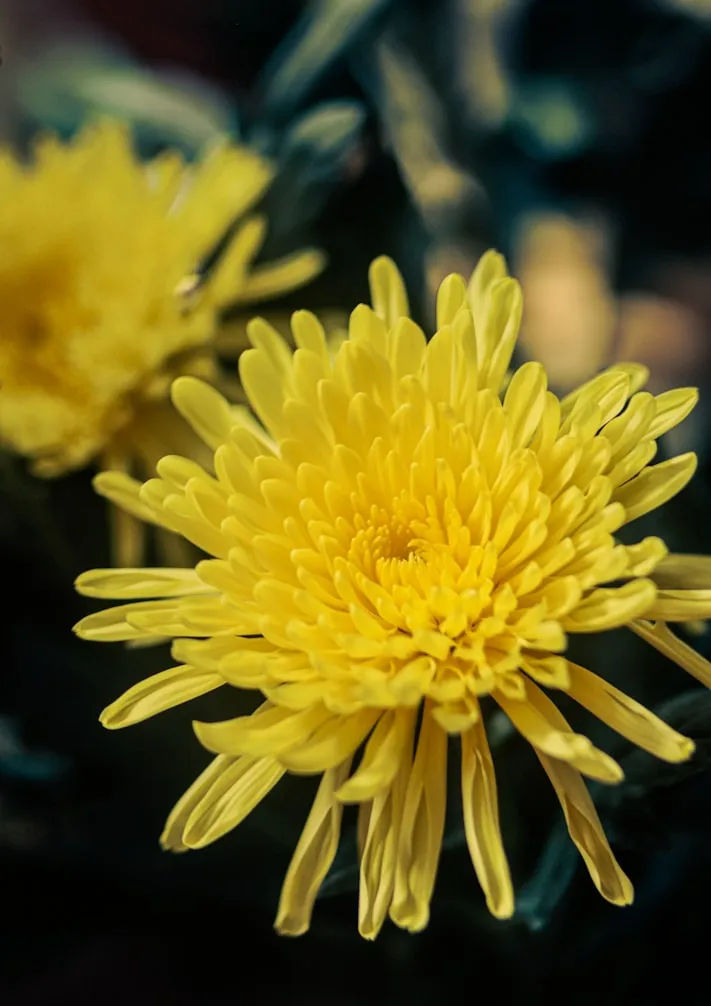 Anh Tuan Thomas from Unsplash