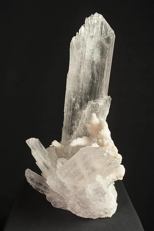 Naturalis Biodiversity Center on wikimedia