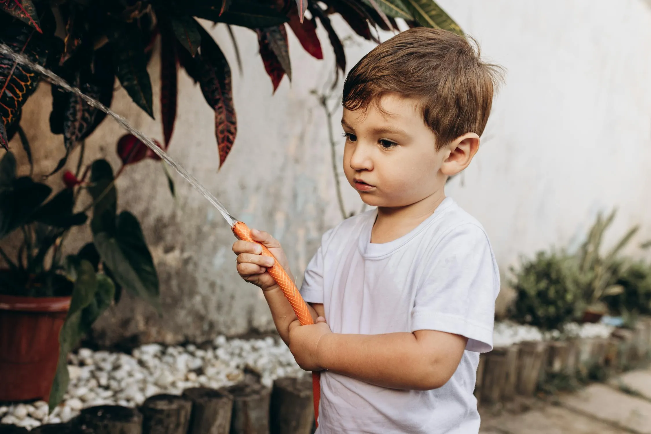 Jonathan Borba on Pexels
