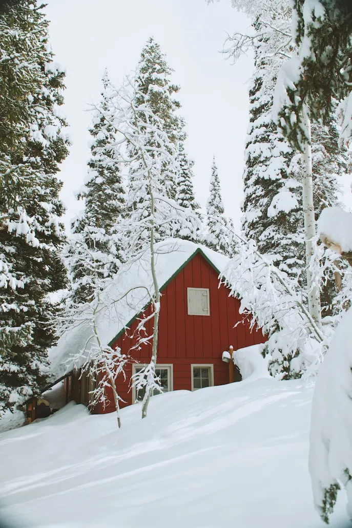 Greg Rakozy from Unsplash