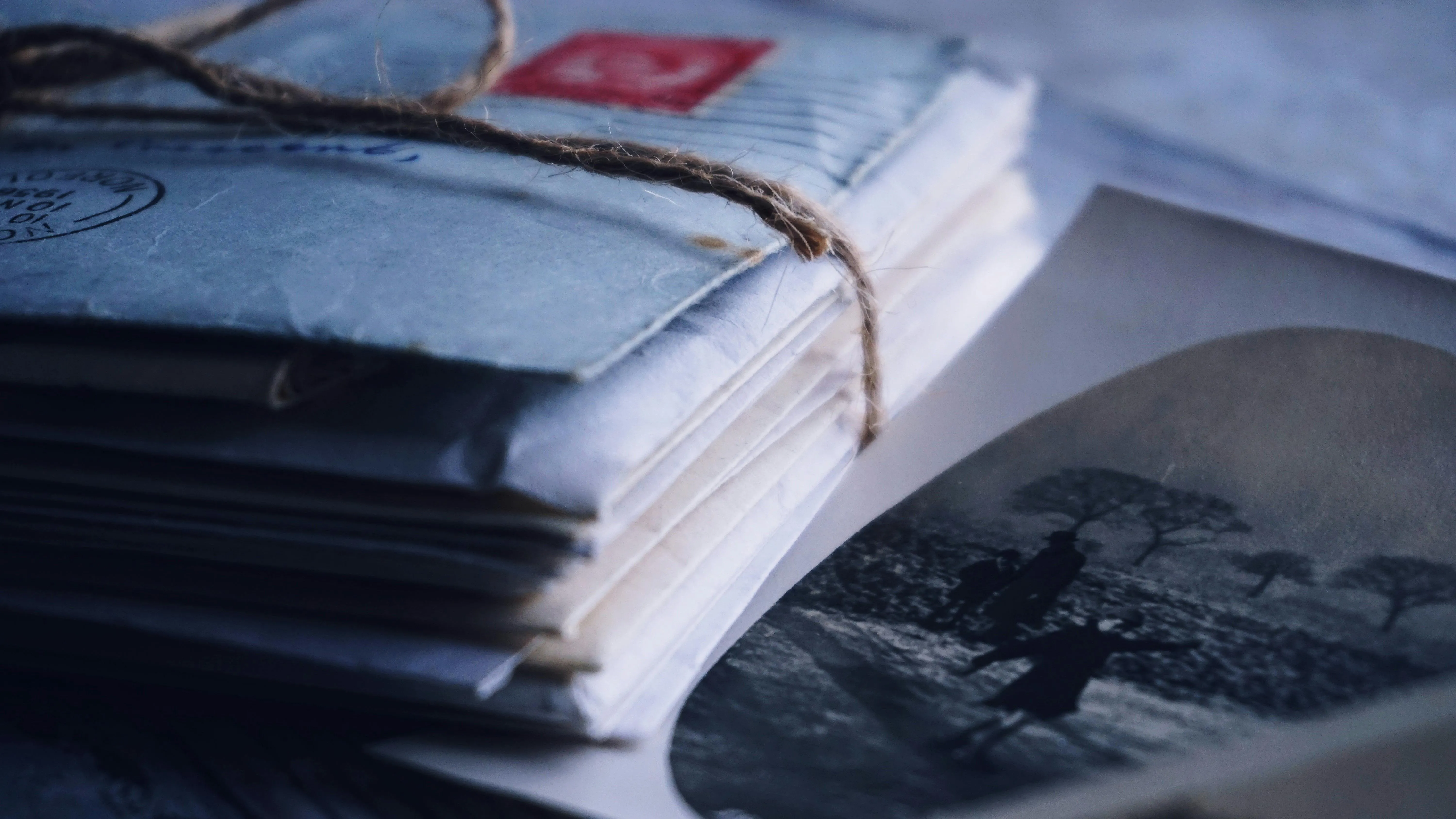 Suzy Hazelwood on Pexels