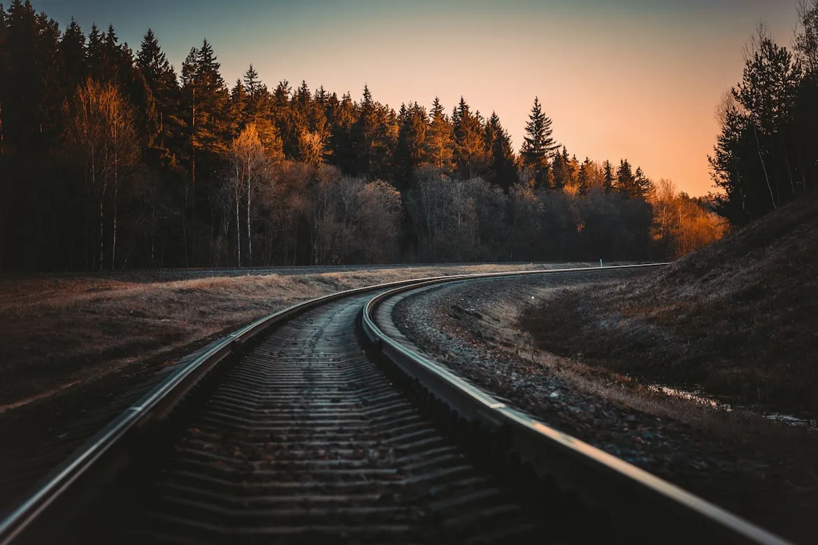 Irina Iriser from Unsplash