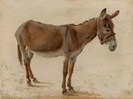 Image from Wikimedia Commons 