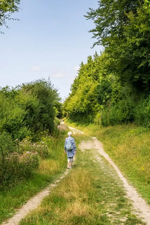 Bob Jenkin on Pexels