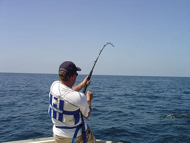 Lsuff on Wikimedia Commons