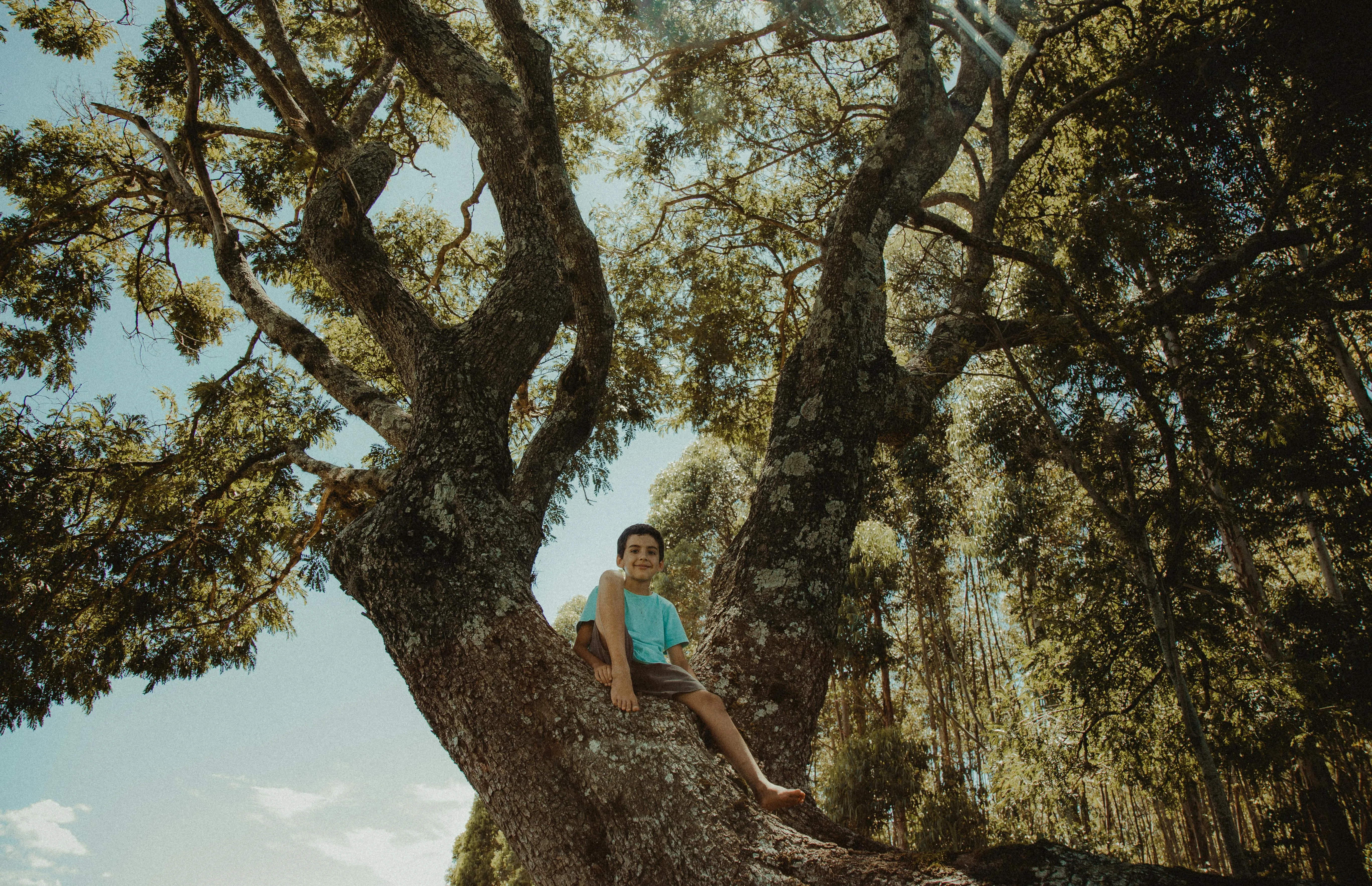 Matheus Bertelli on Pexels