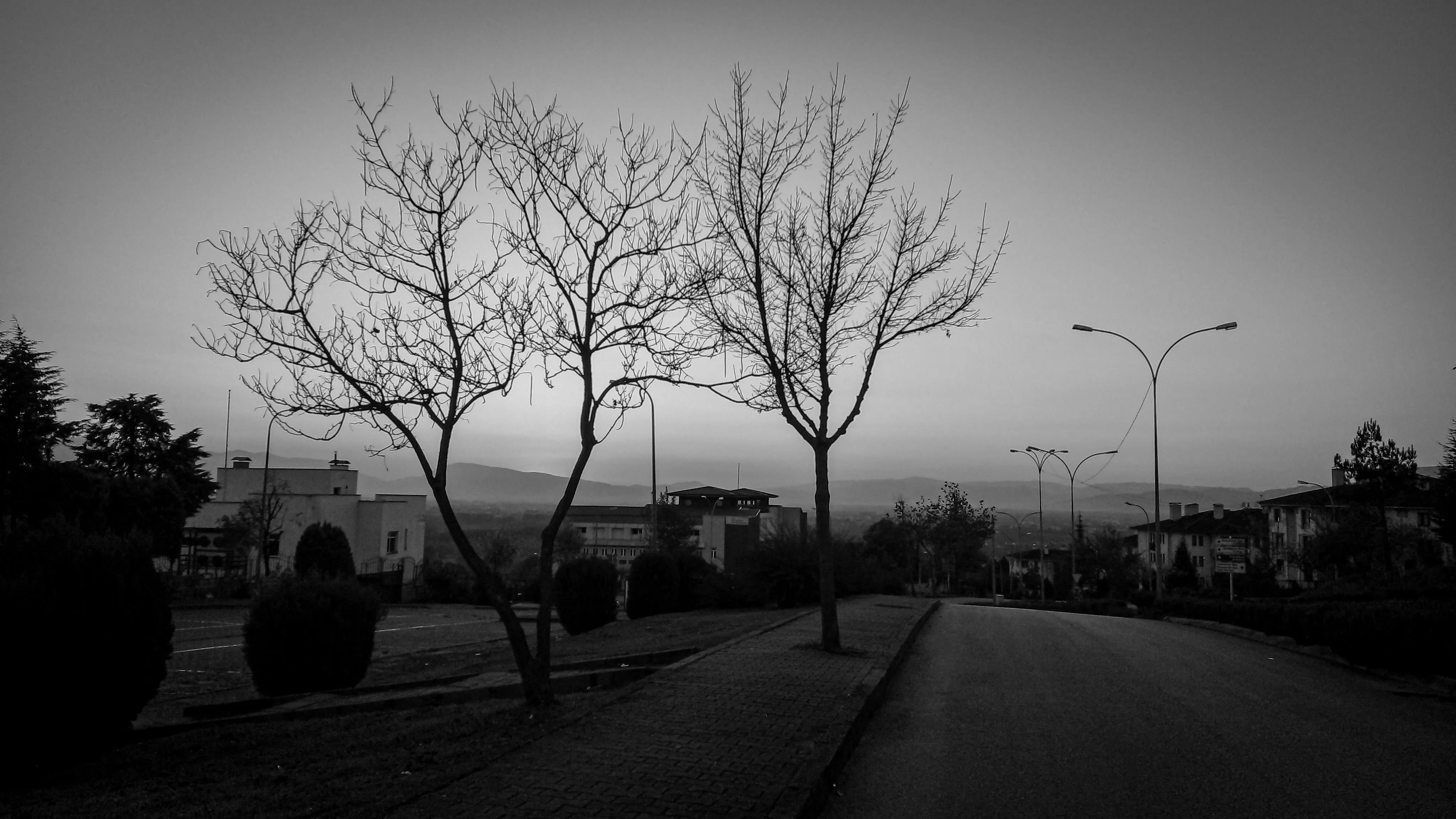 Samet Bilgin on Pexels