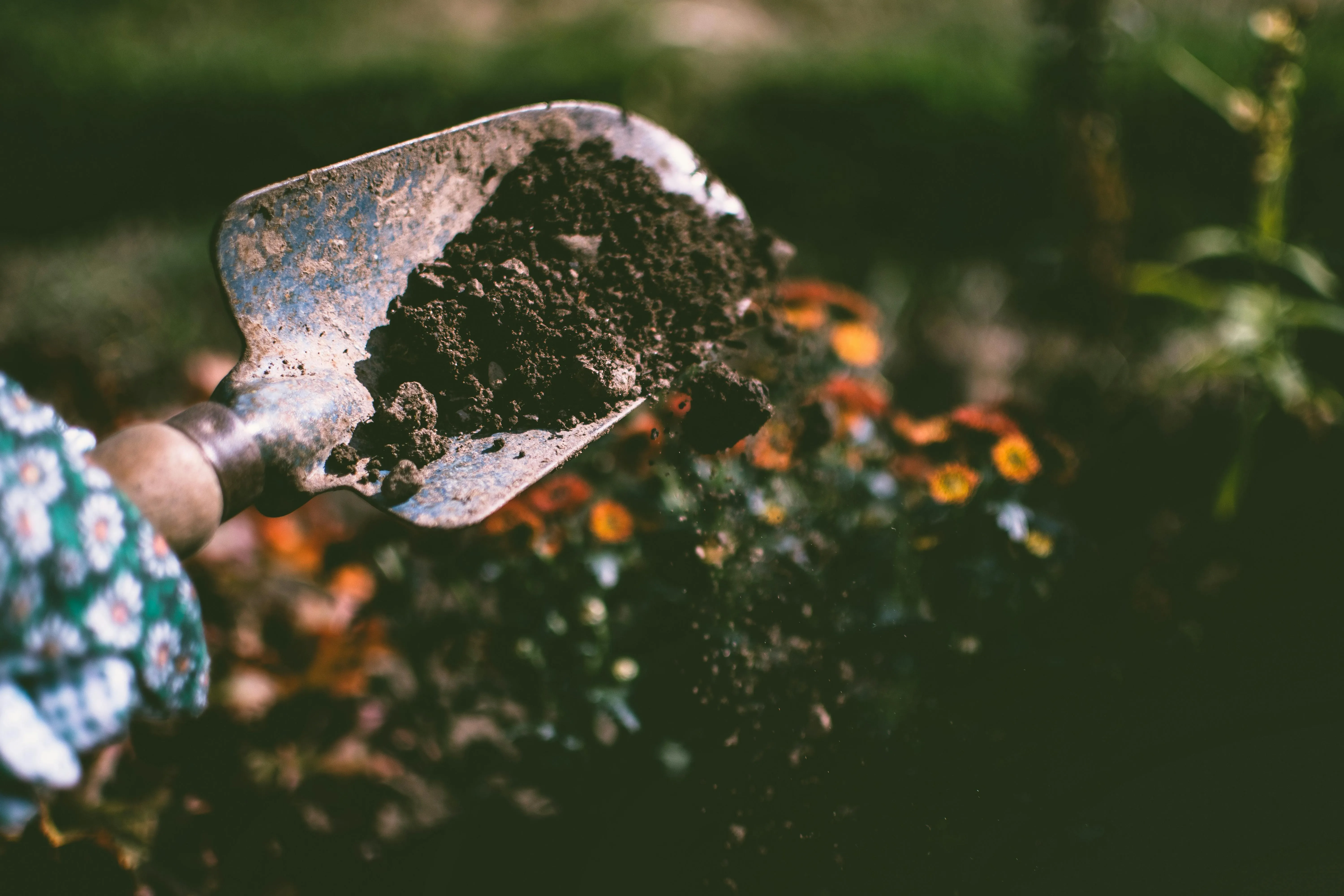 15 Sustainable Gardening Tips for Beginners