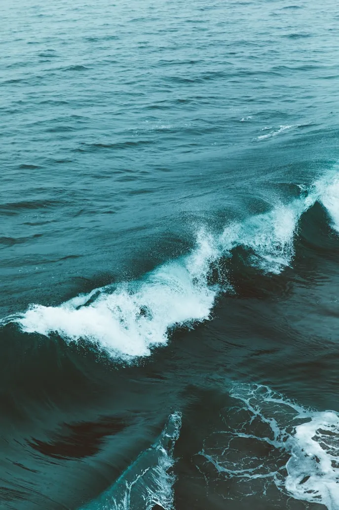 Nathan Dumlao from Unsplash