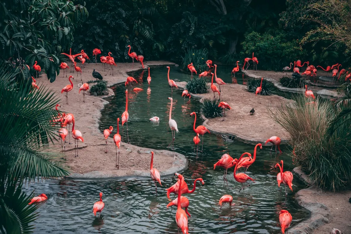 Matthew Cabret from Unsplash