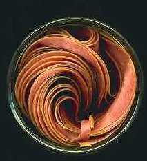 Image from Wikipedia