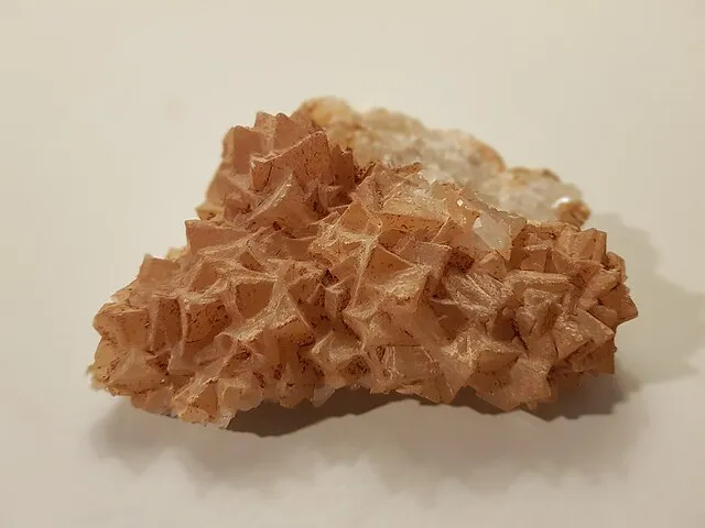 Romaine on wikimedia