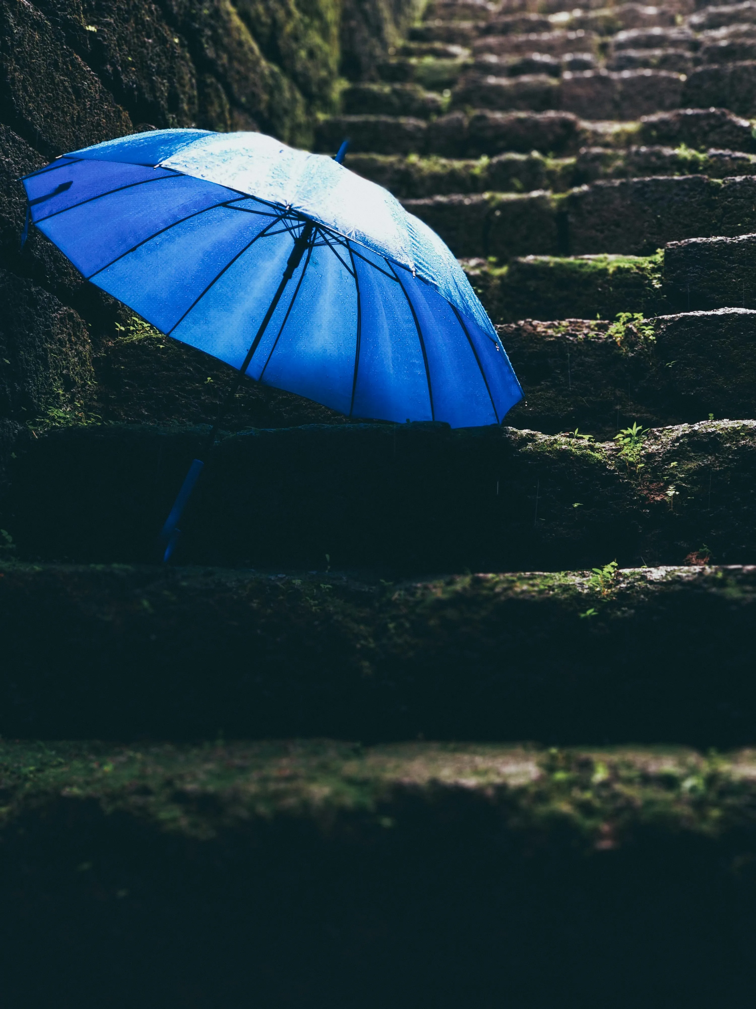 Ravi Kant on pexels