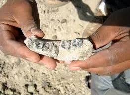 Image from Archaeology Magazine