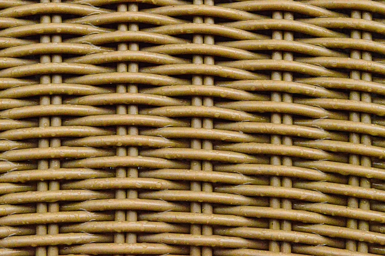 Angela Roma on Pexels