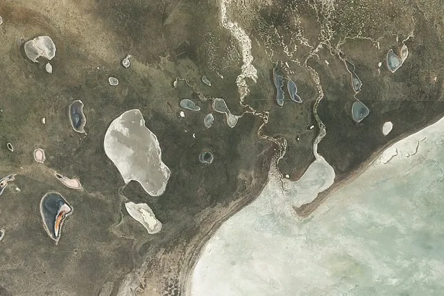 Wanmei Liang on Wikiemdia Commons