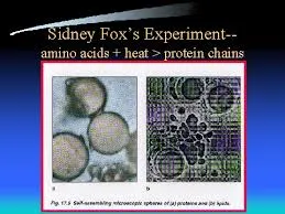 Image from American Scientific Affiliation