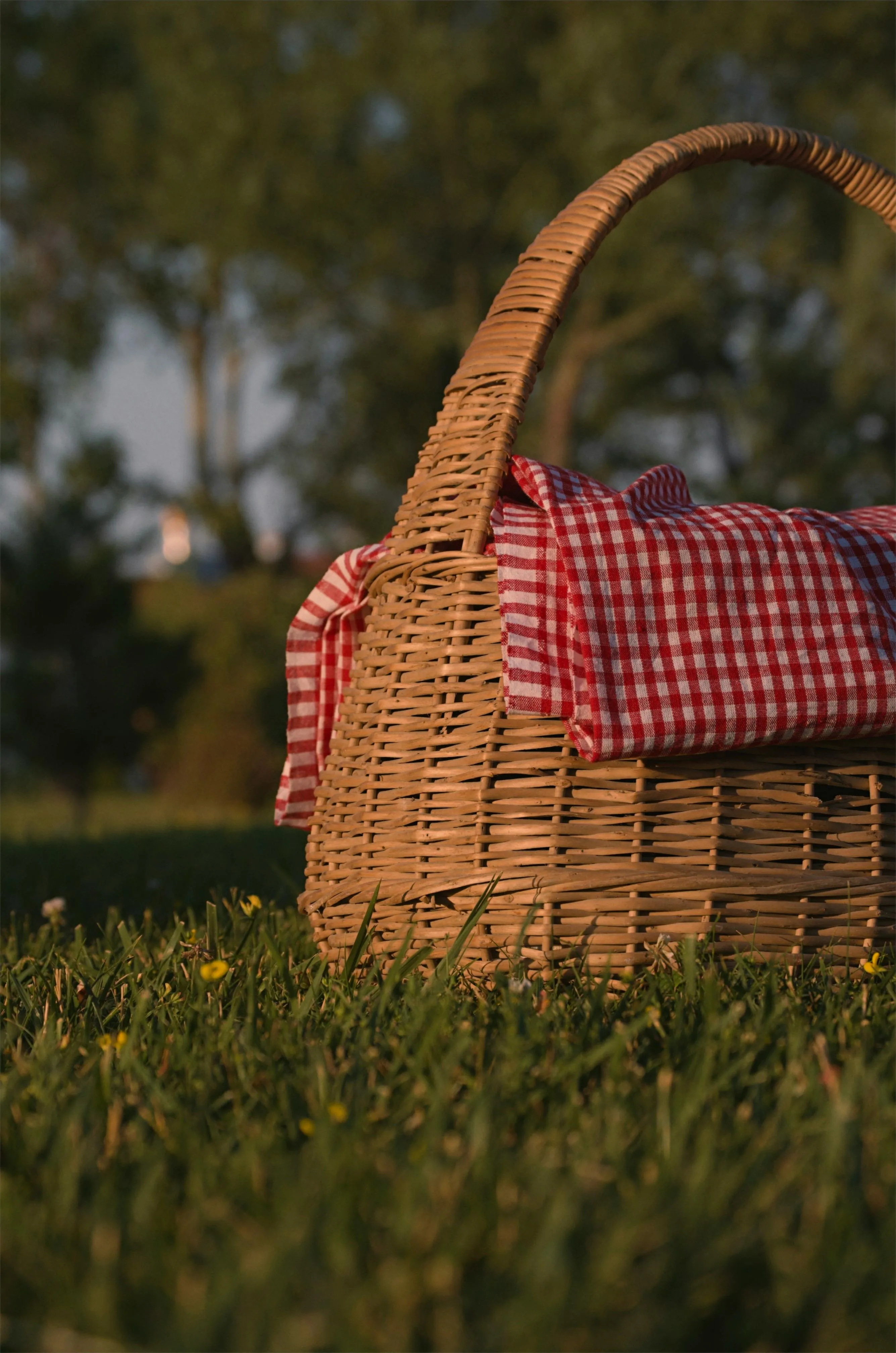 Muhtelifane on Pexels
