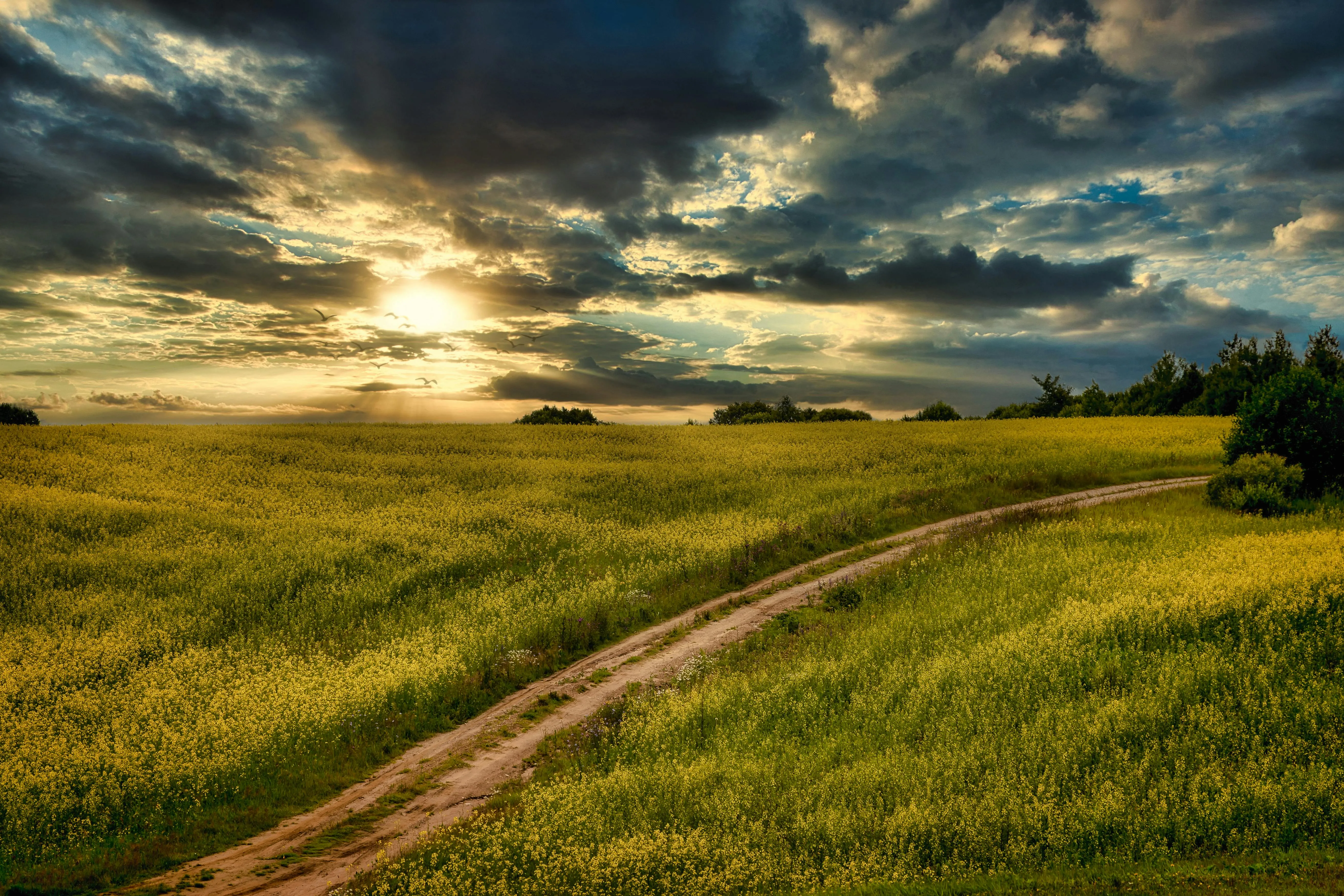 Игорь Куксинский on Pexels