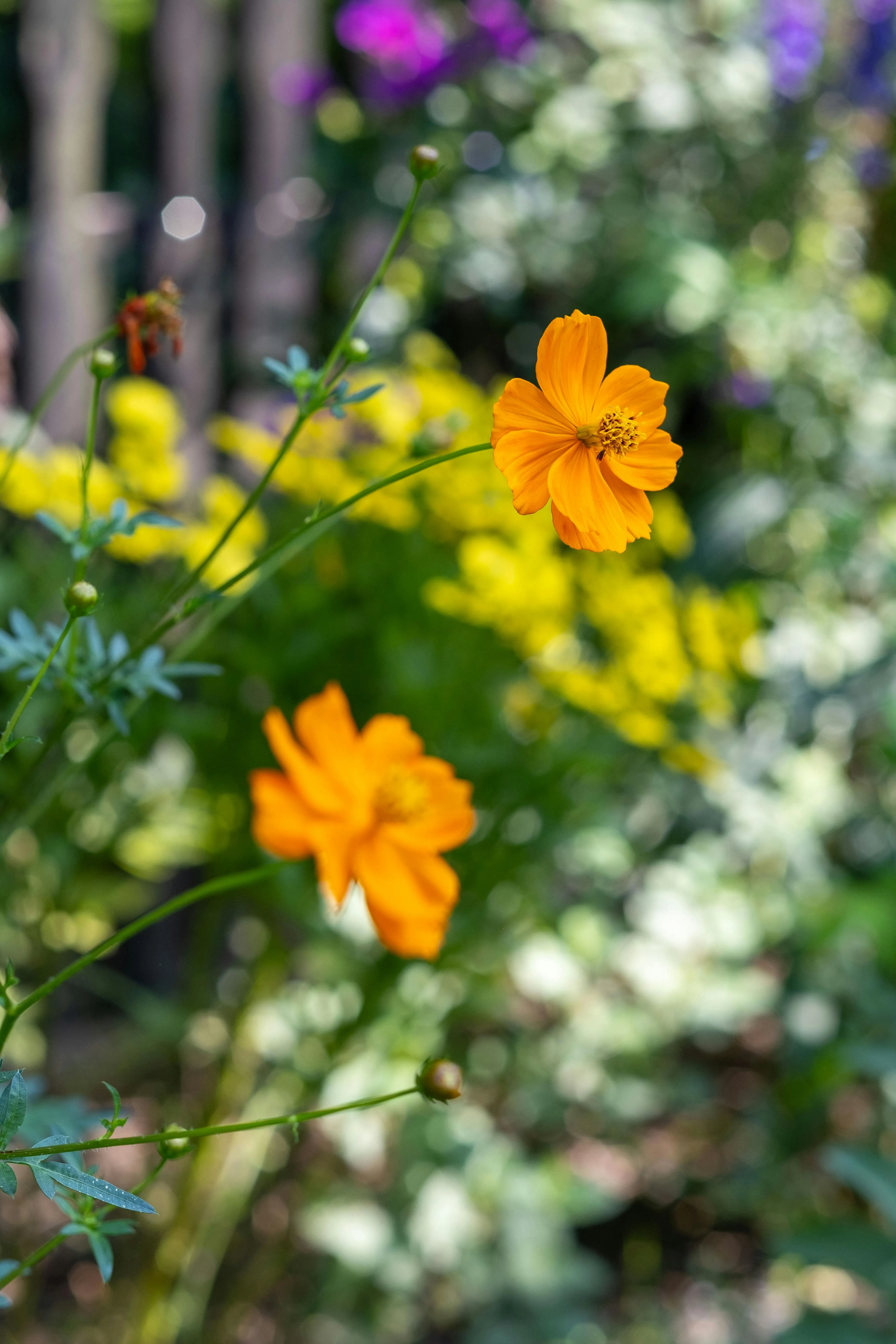 Valerie Flowers on Pexels