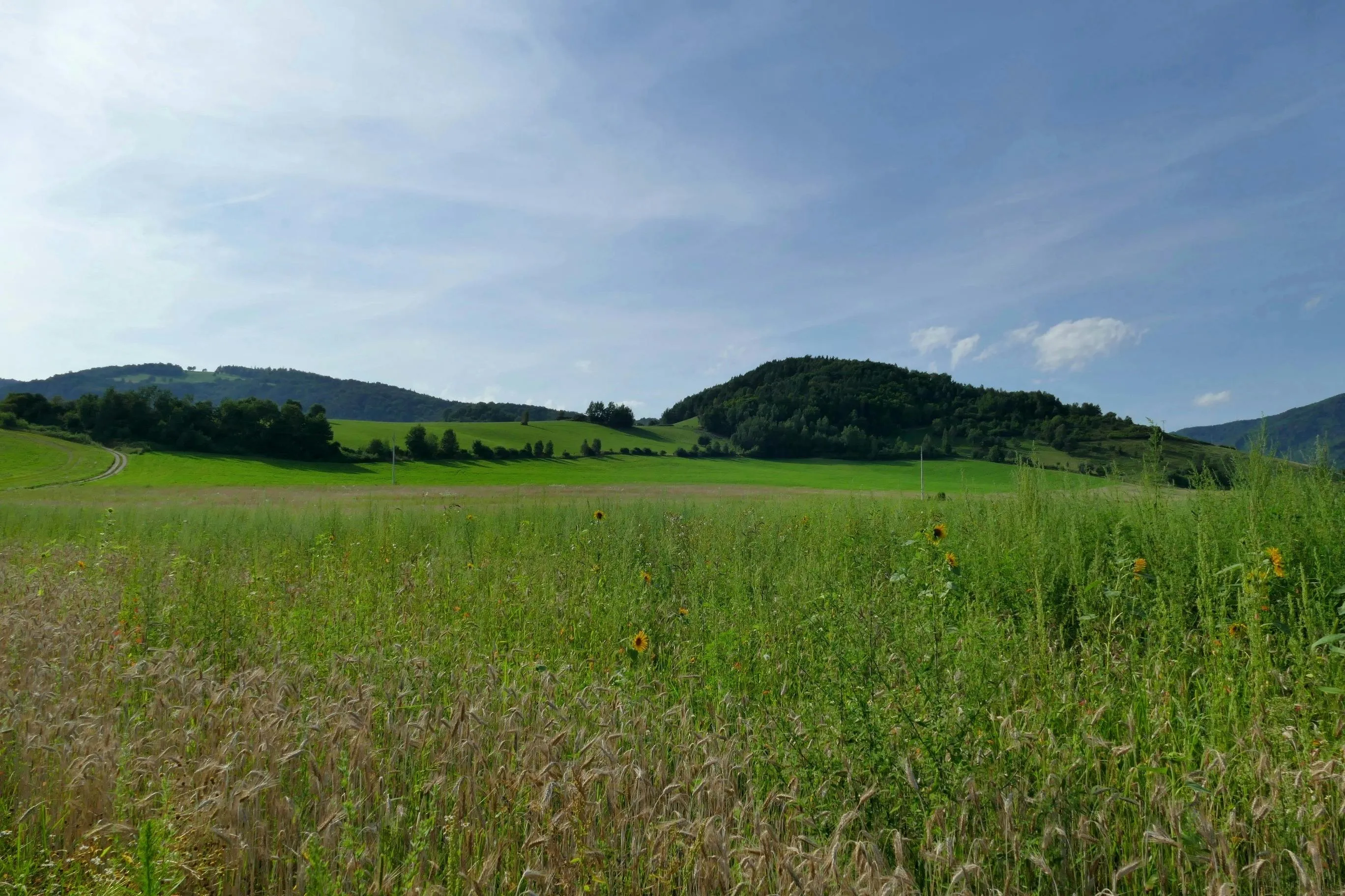 Monika's nature pictures on Pexels