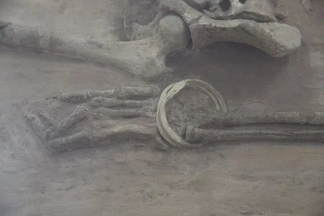 Gary Todd on wikimedia