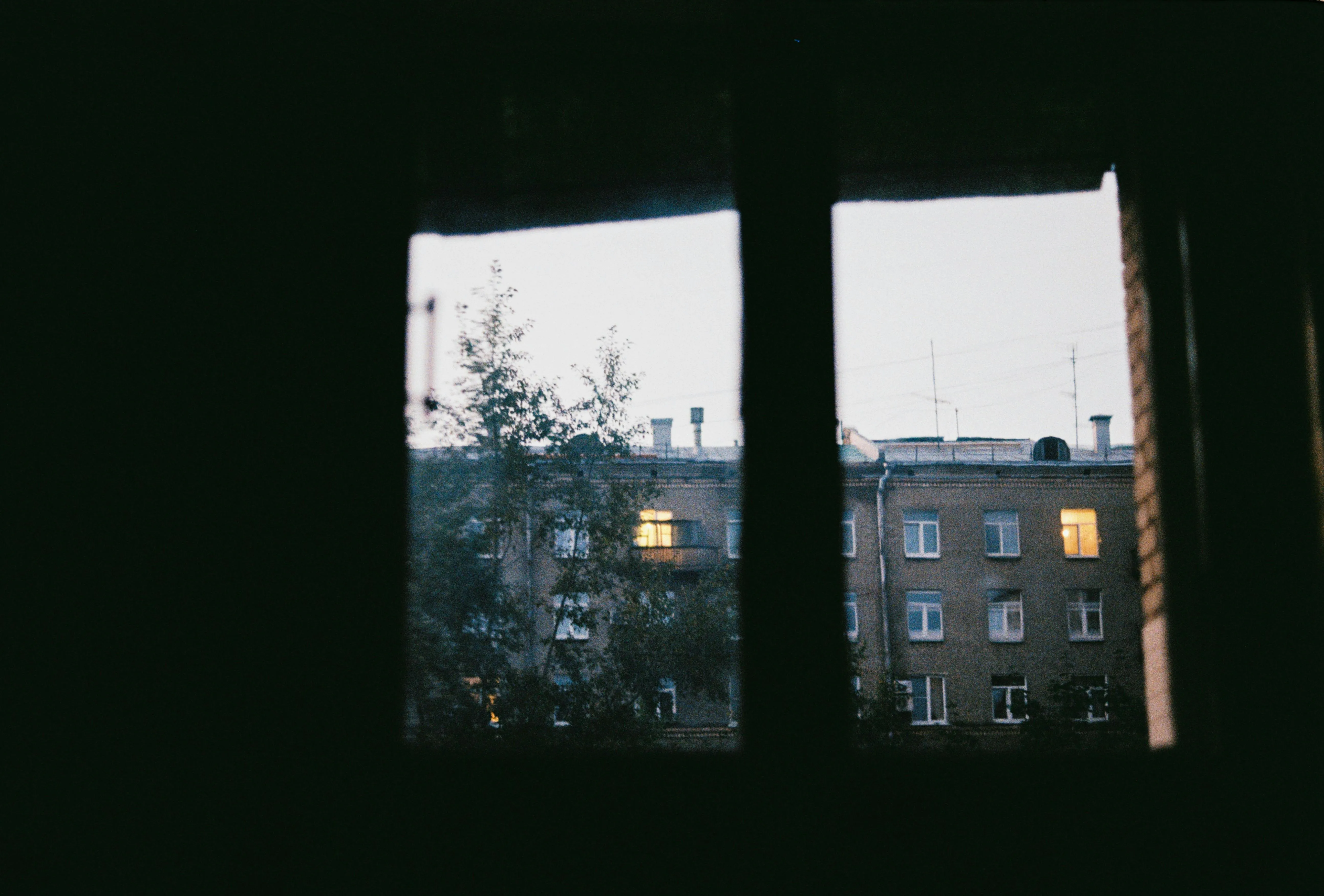 Anastasia Shuraeva on Pexels