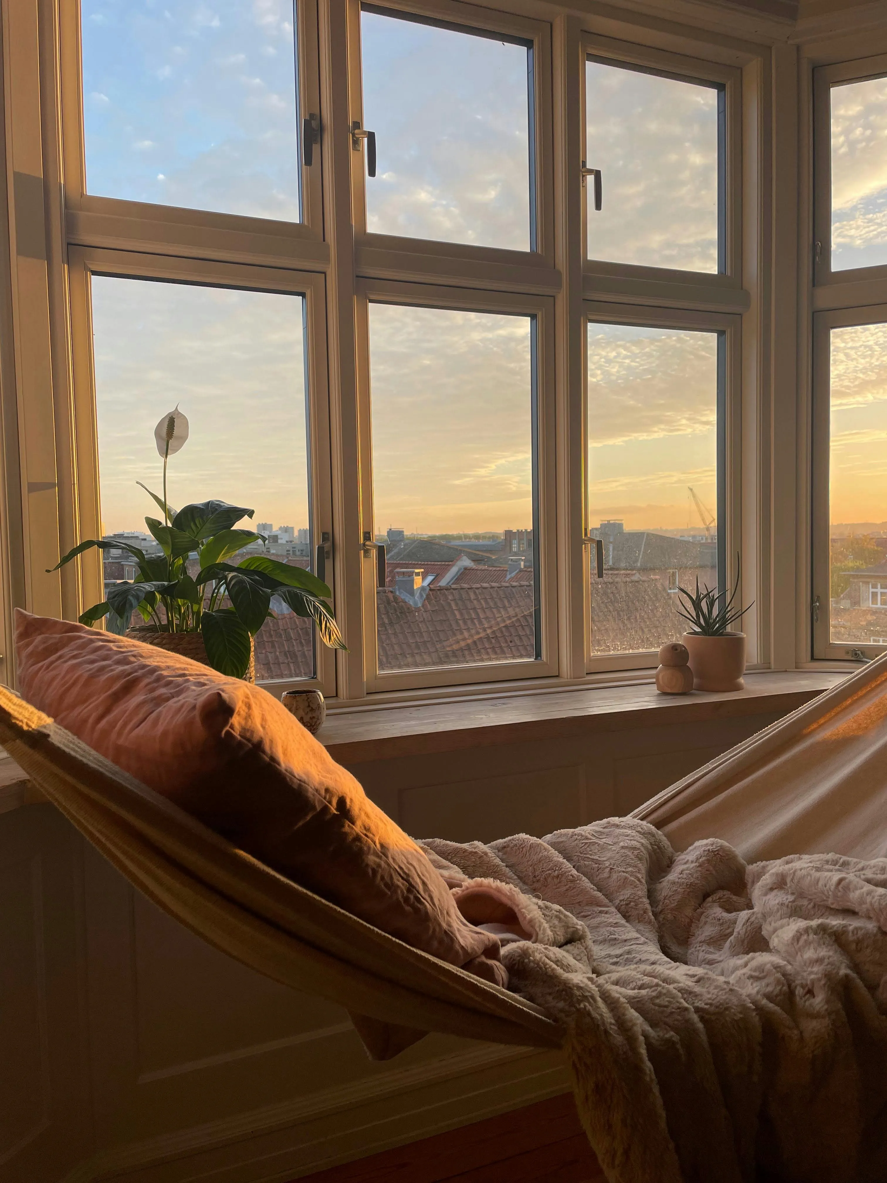 Victoria M on Pexels