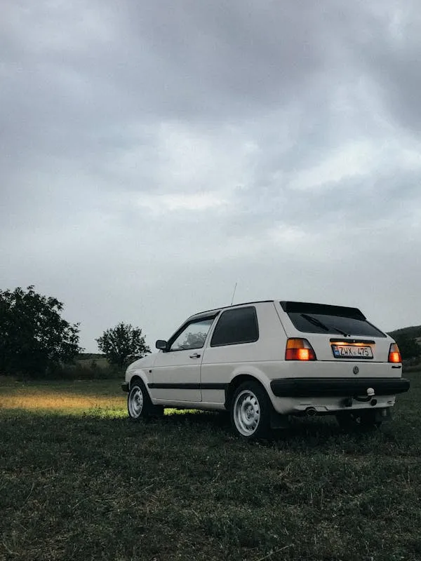 Borta on Pexels 