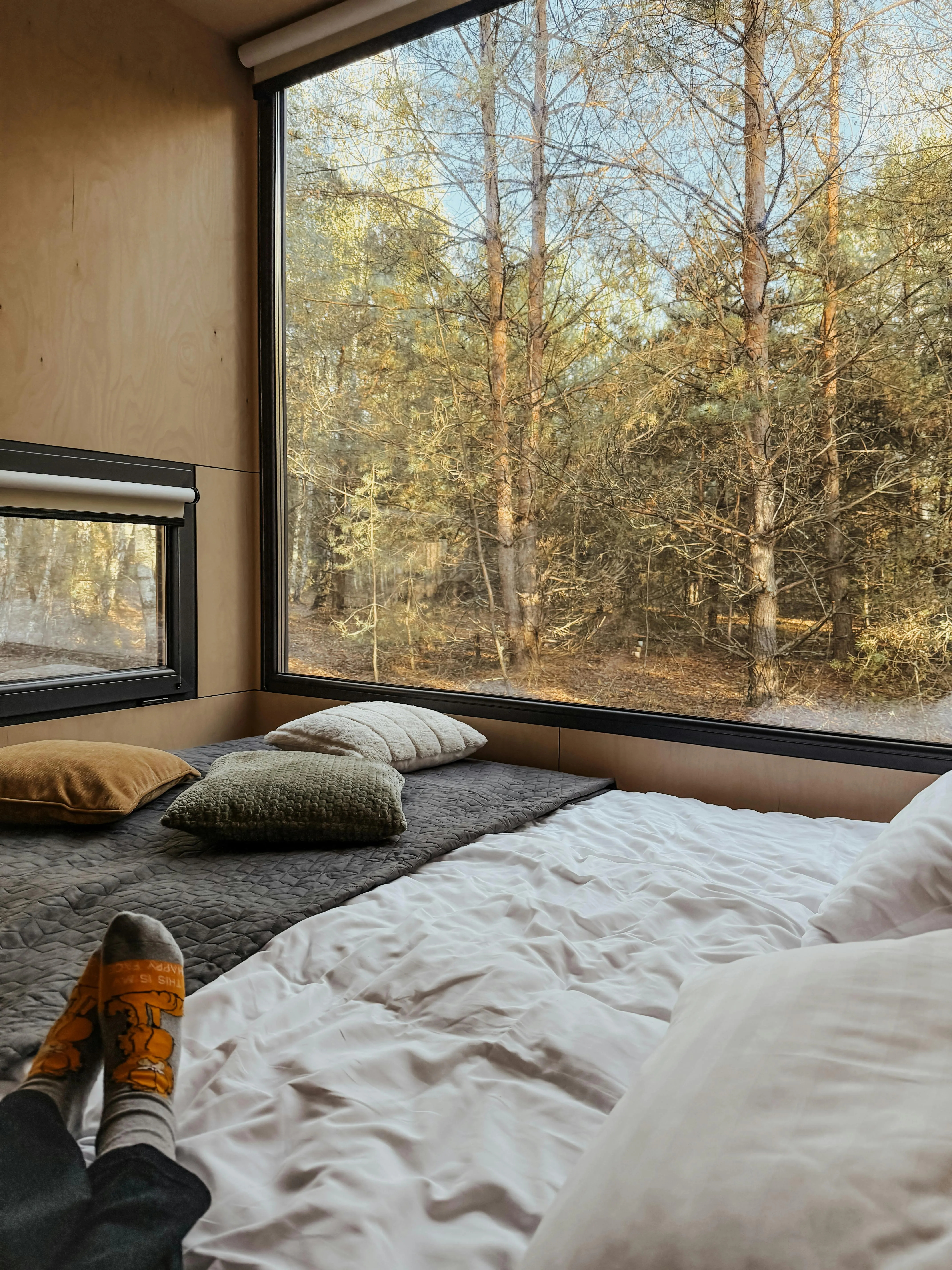 просто аська on pexels