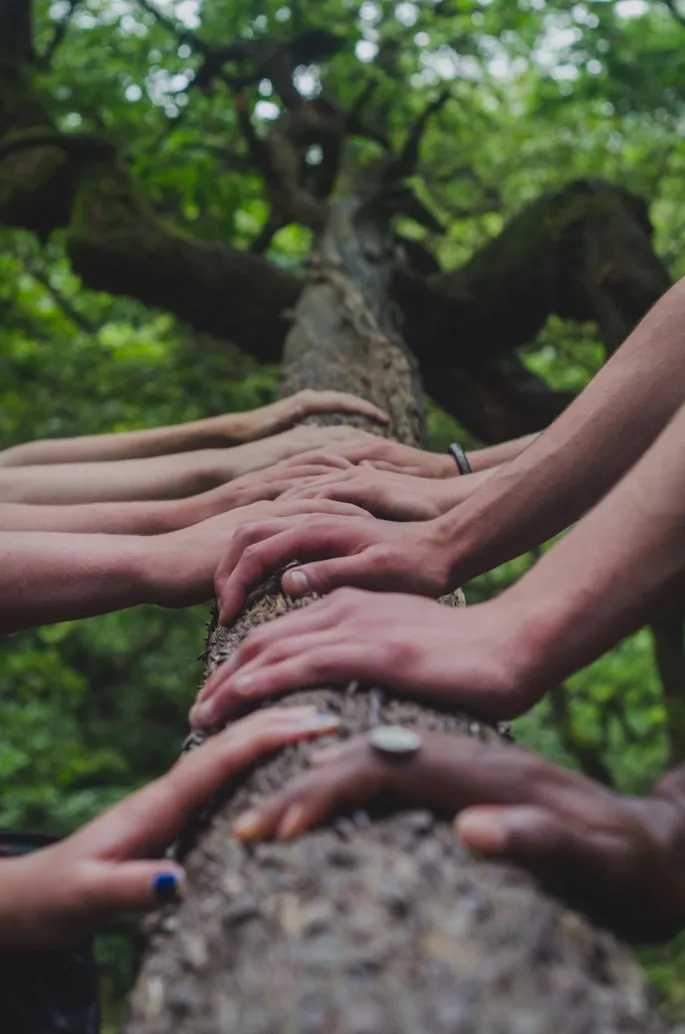 Shane Rounce from Unsplash
