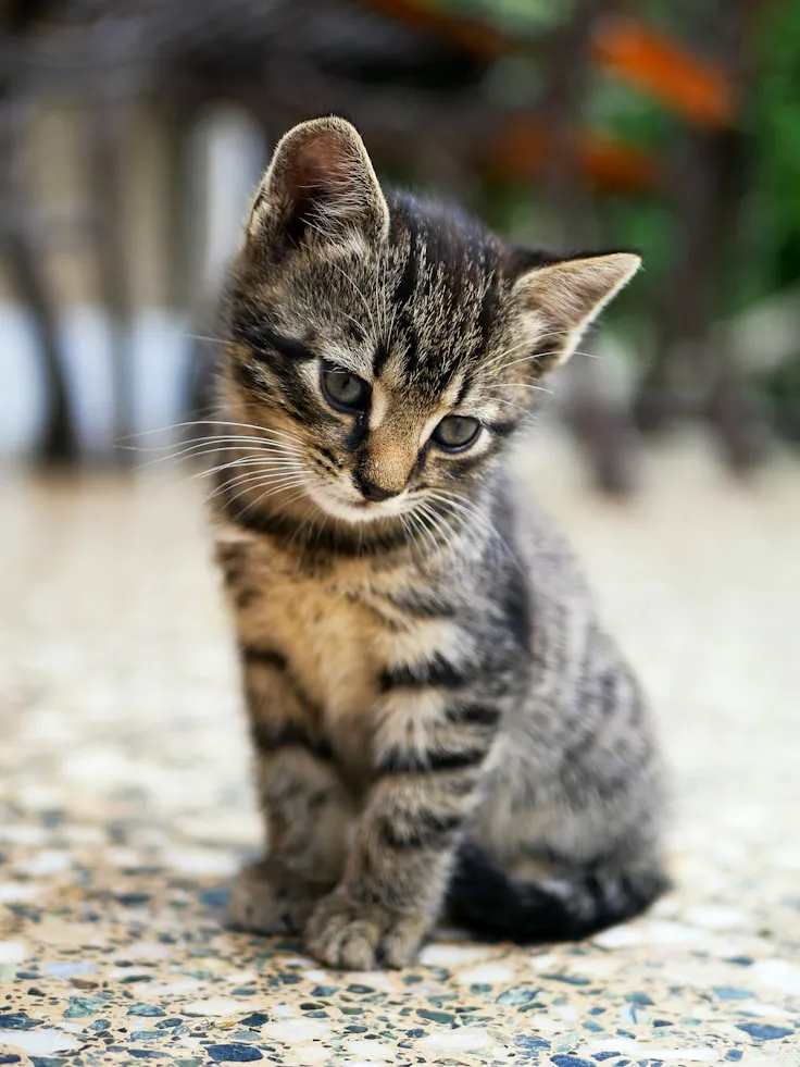 Edgar from Unsplash