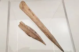 Image from San Diego Archaeological Center