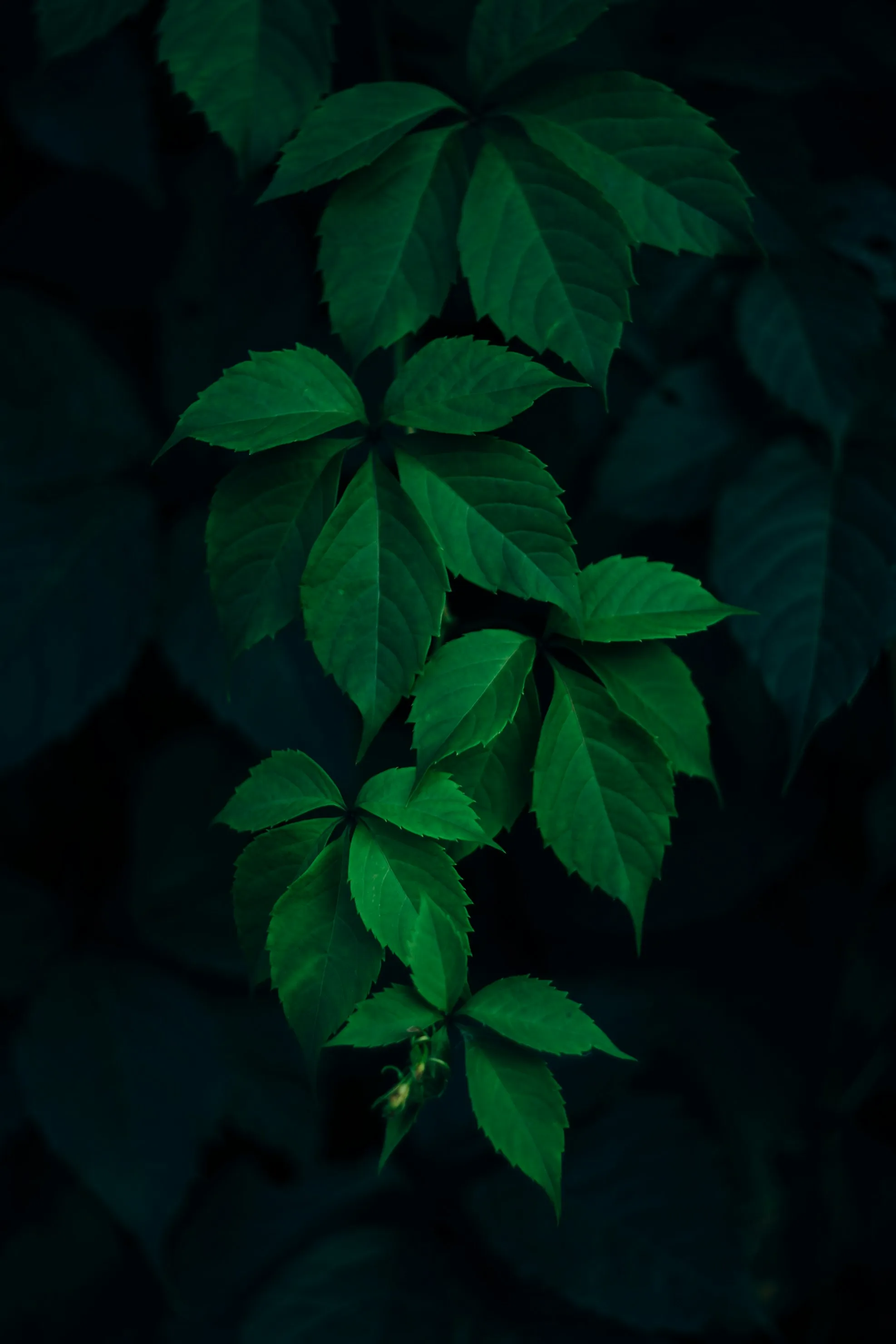 Rodion Kutsaiev from Unsplash