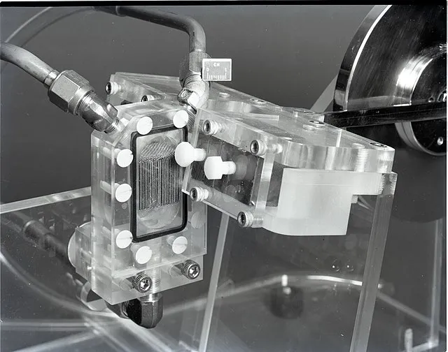 Unknown author or not provided on wikimedia