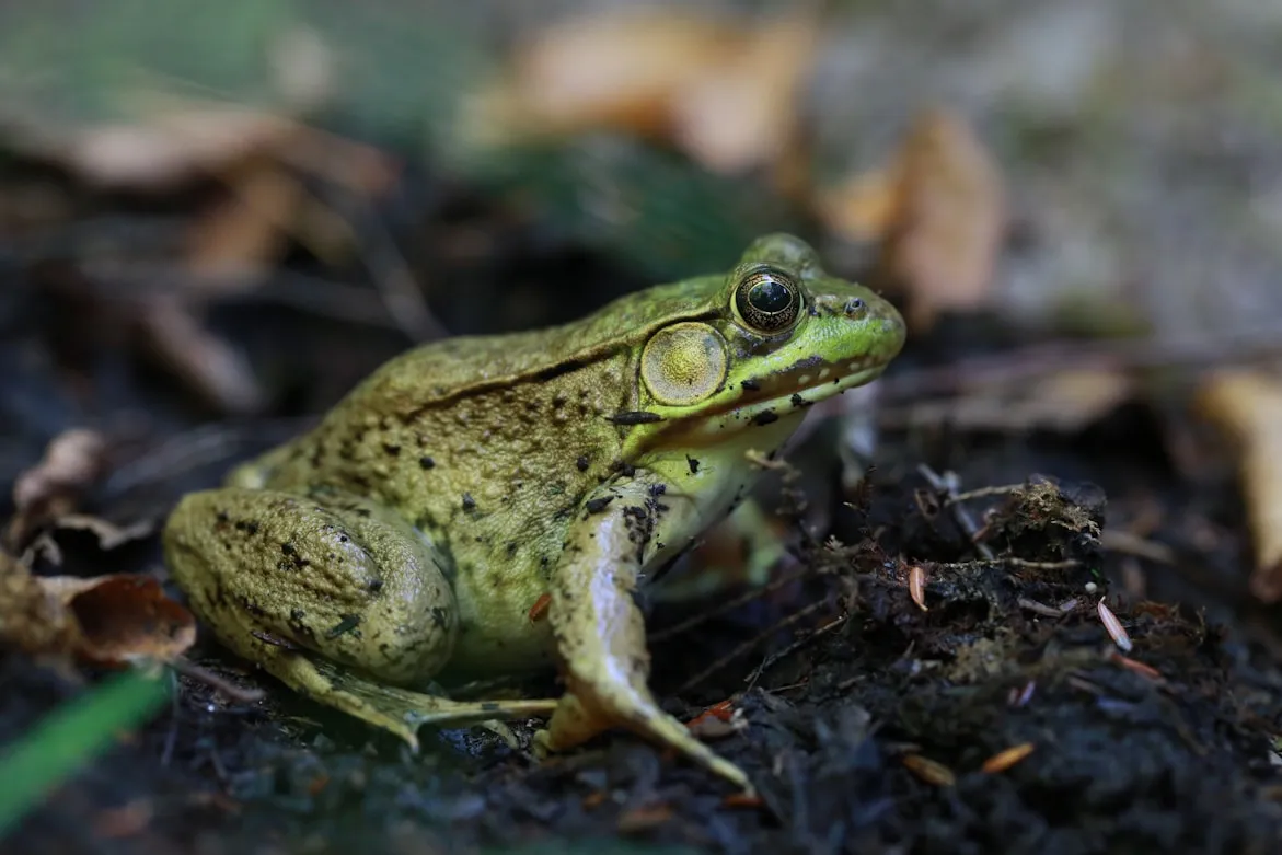 Gary Yost on Unsplash