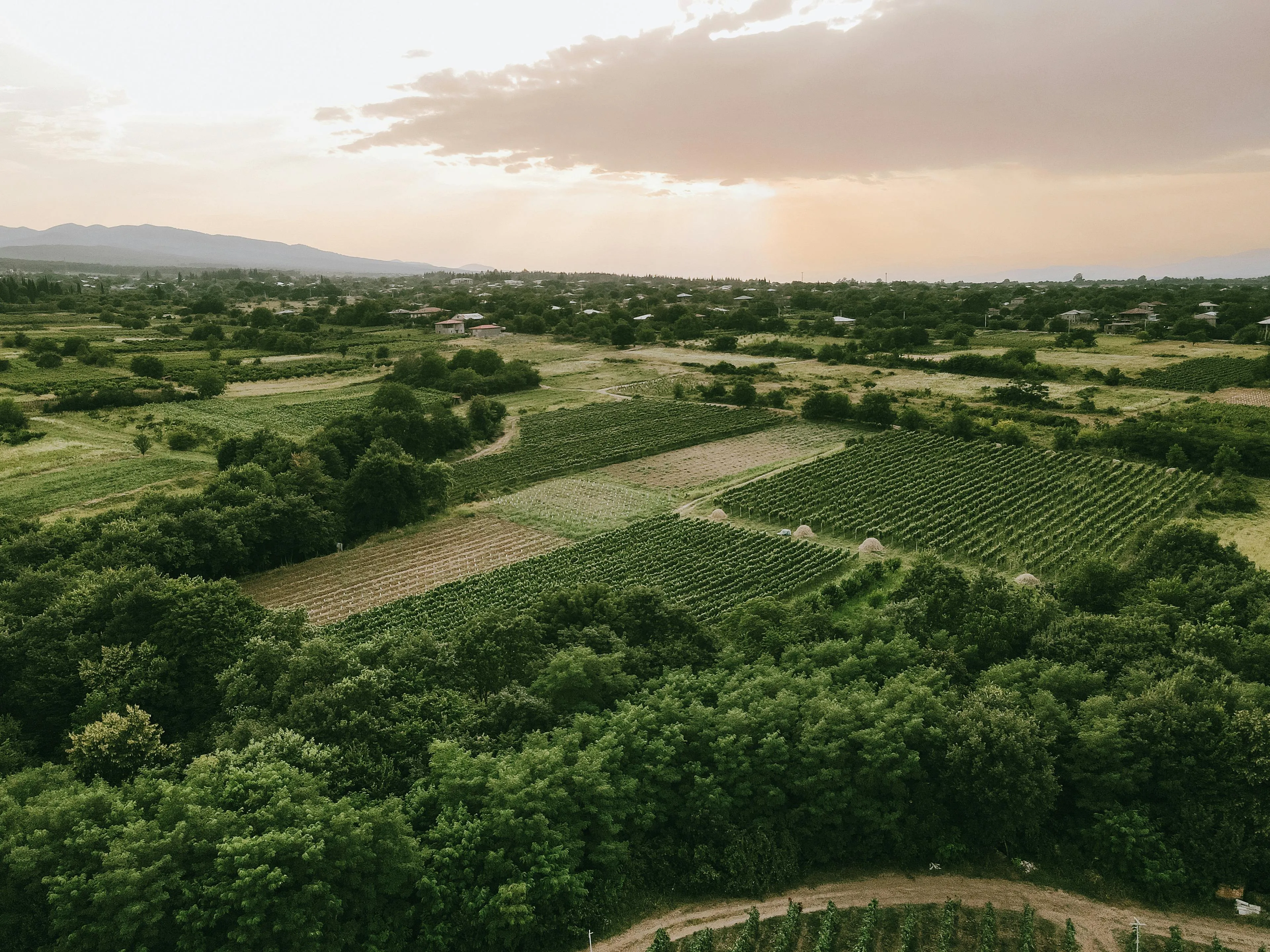 ROMAN ODINTSOV on Pexels