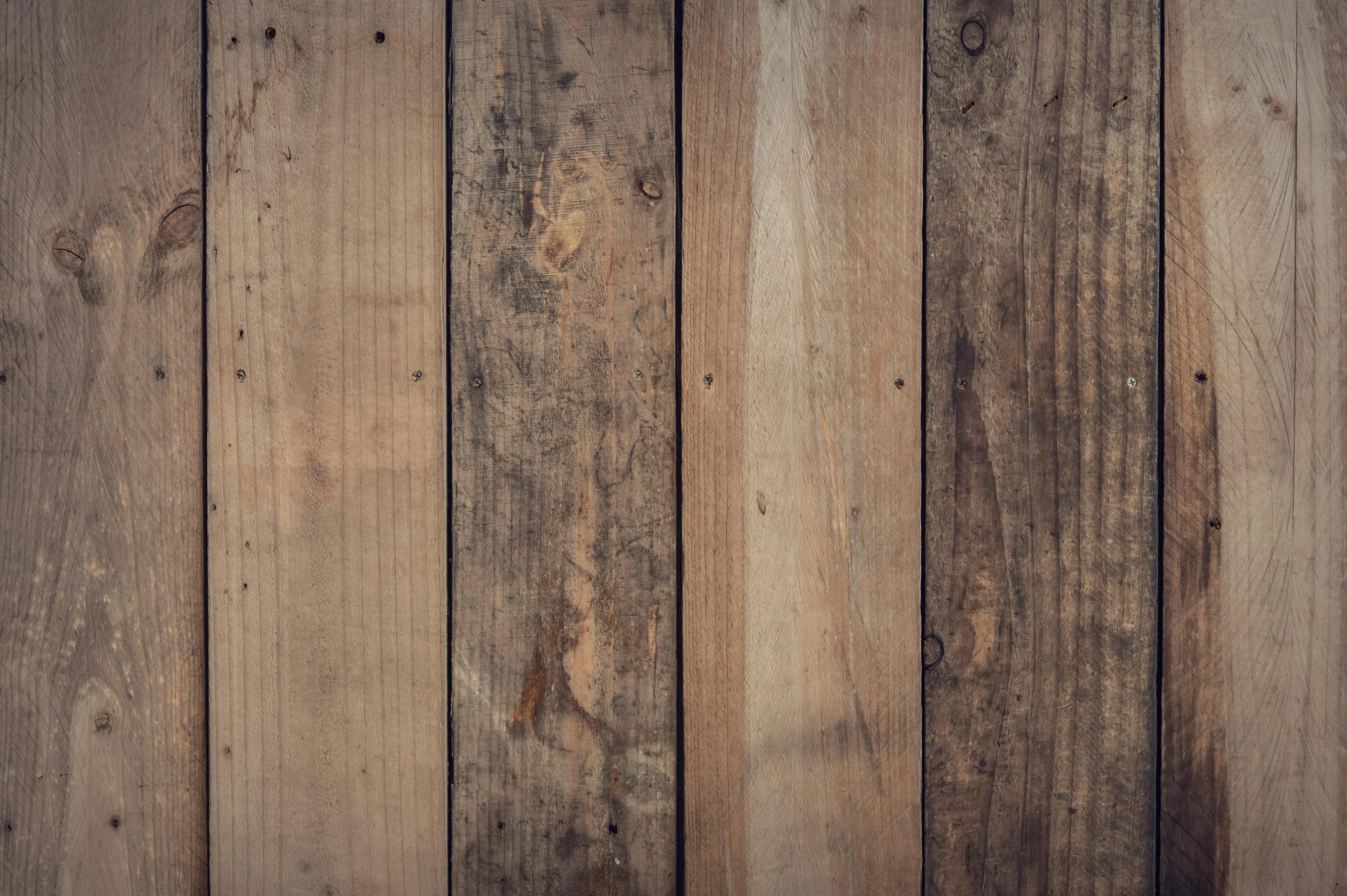 FWStudio on pexels