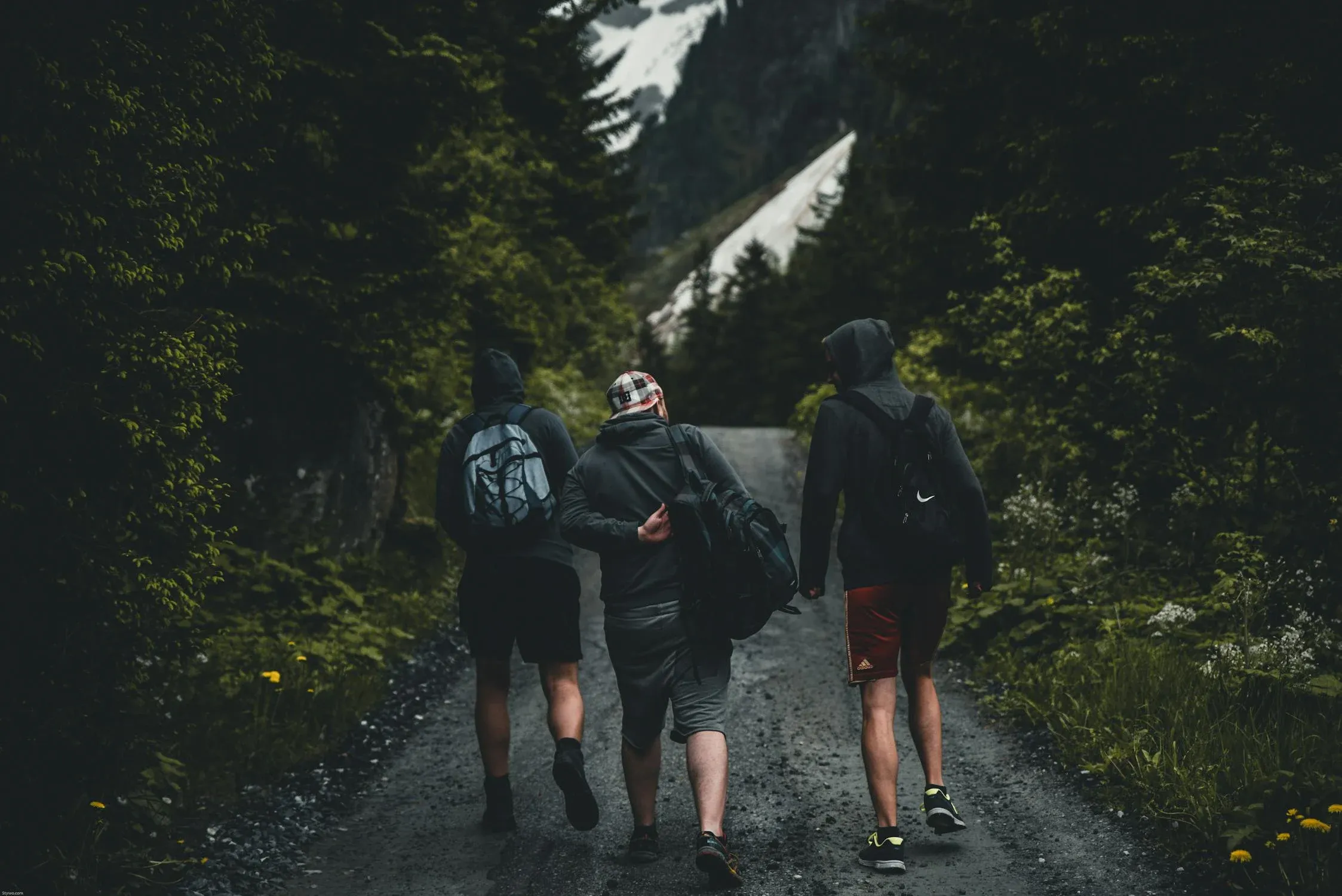  Stephan Seeber on Pexels