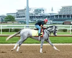Image from Kentucky Derby 