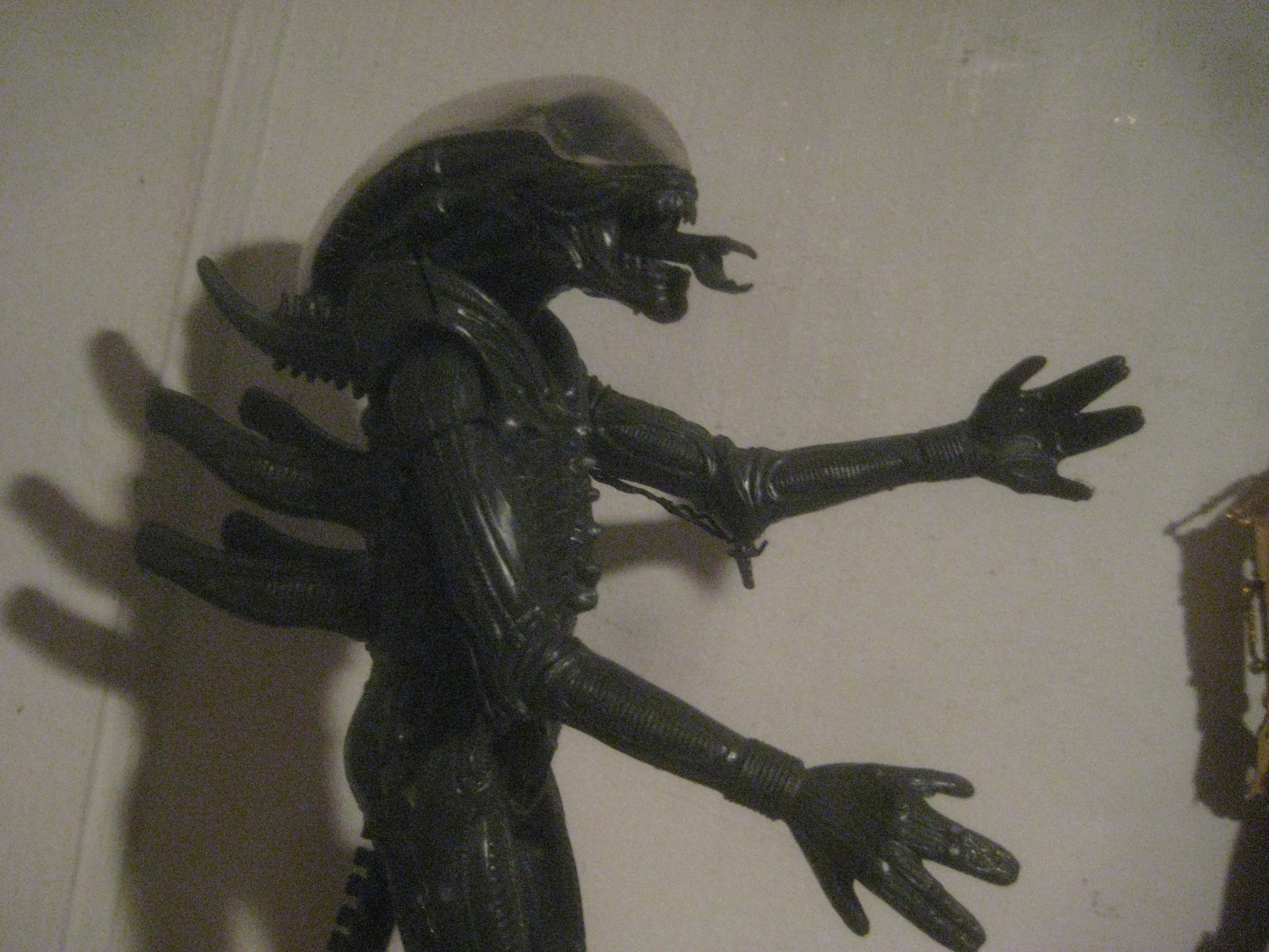 Brecht Bug on Flickr