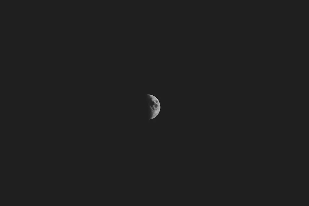 Leo_Visions from Unsplash