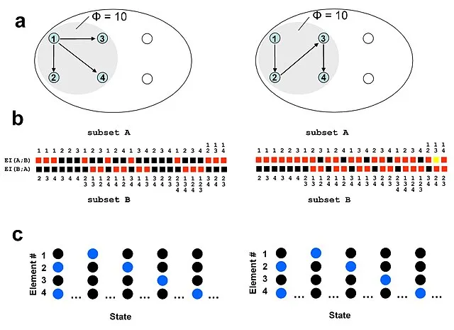 Giulio Tononi on Wikimedia Commons