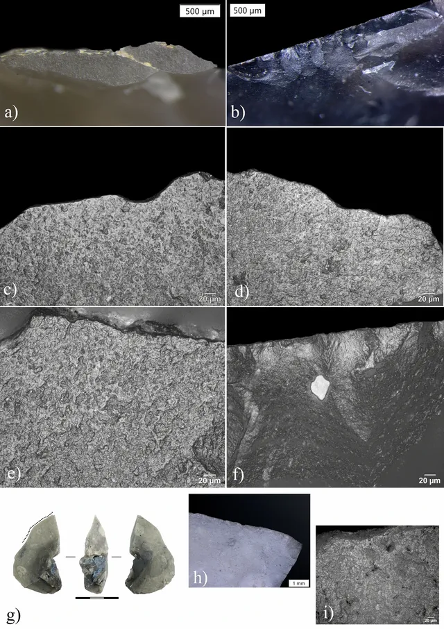Schöningen flints traces - Venditti on Wikimedia Commons