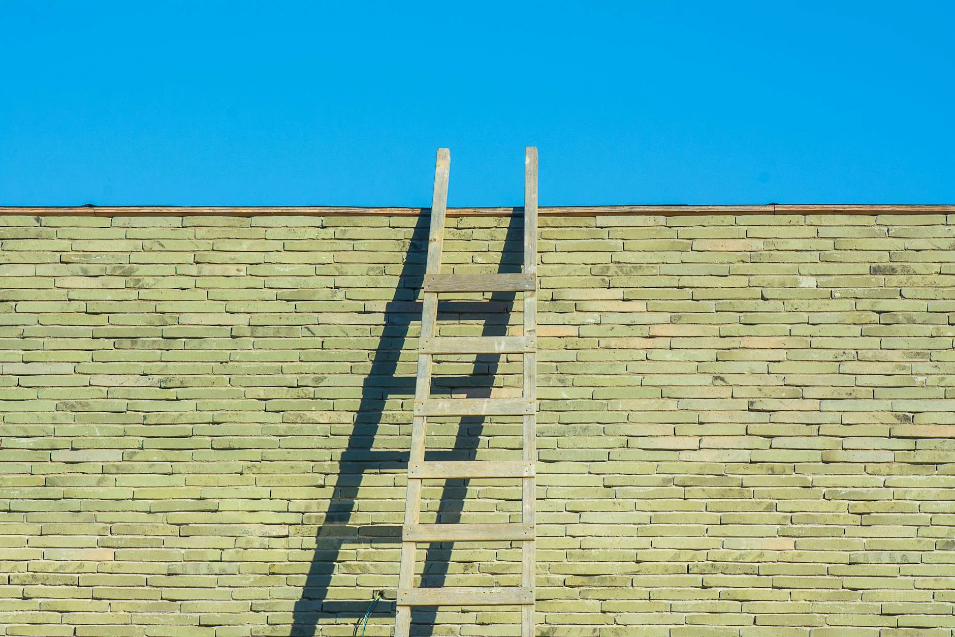 Jan van der Wolf on Pexels
