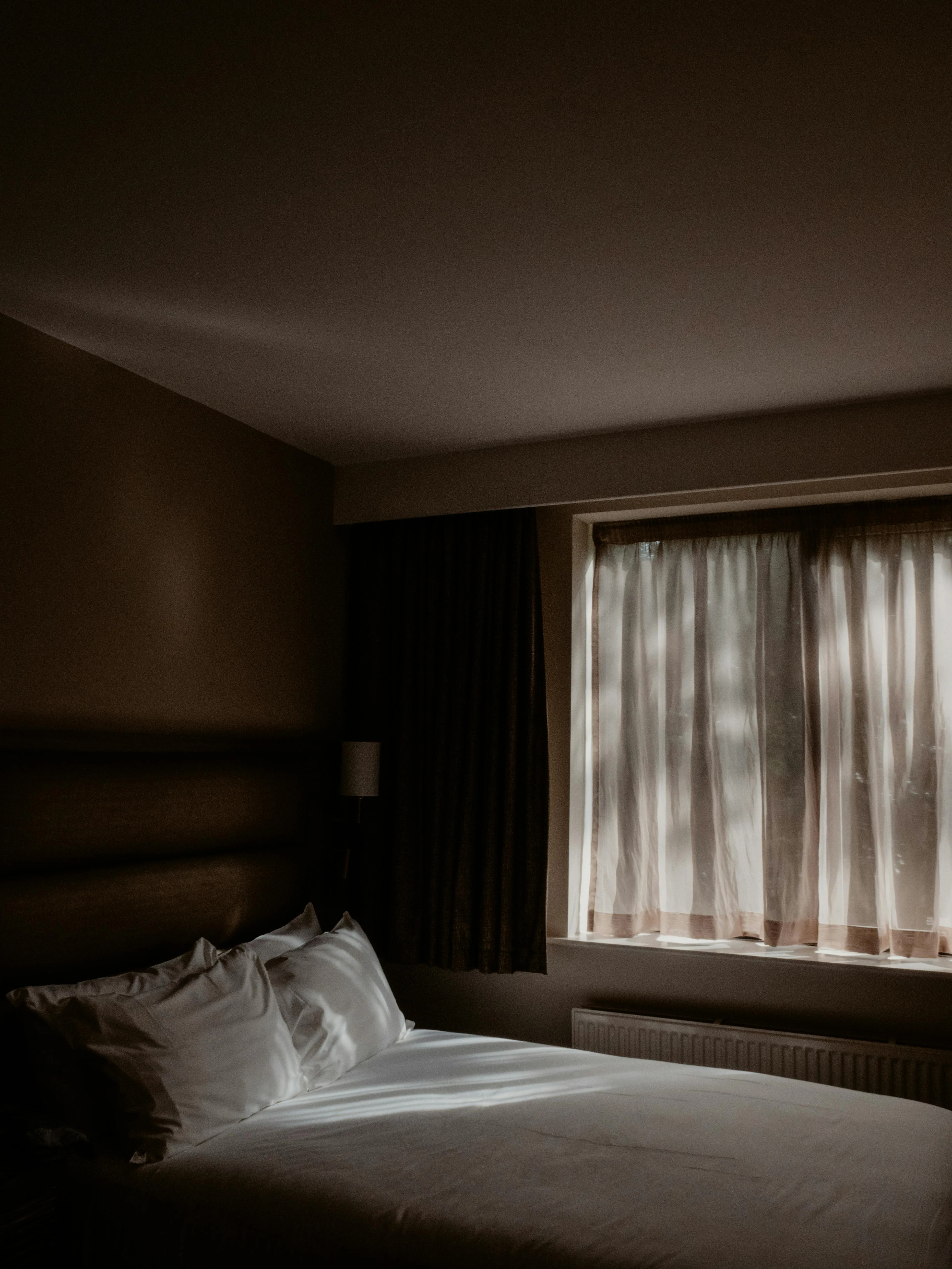 Lisa from Pexels on Pexels