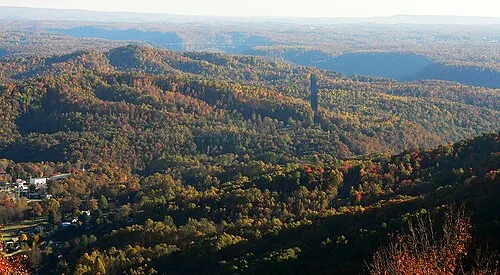 Image from Wikipedia